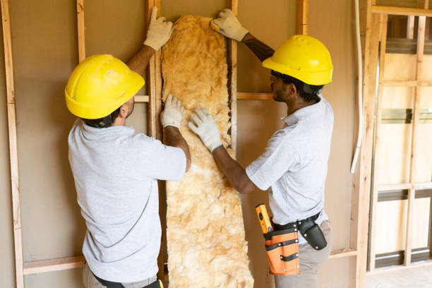 Best Insulation Contractor Near Me  in Windber, PA